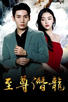 至尊潜龙