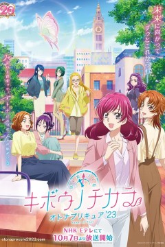 希望的力量～大人的光之美少女
