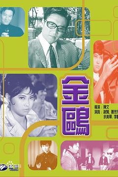 金鸥