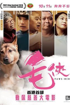 毛侠毛俠