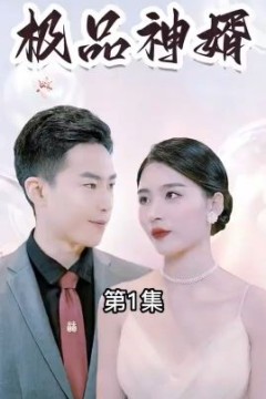 极品神婿