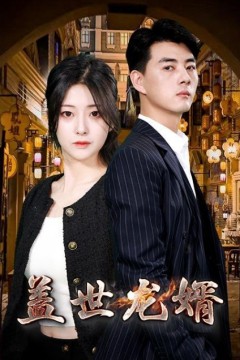 盖世龙婿