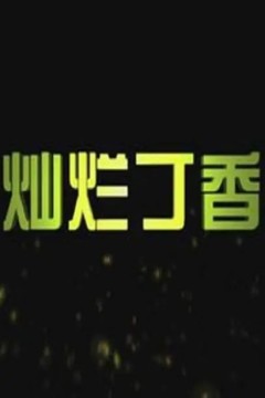 灿烂丁香2011