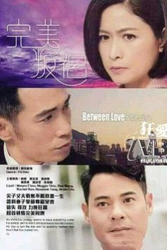 完美叛侣国语