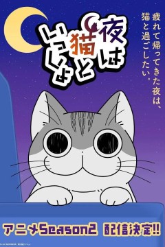 关于养猫我一直是新手第二季