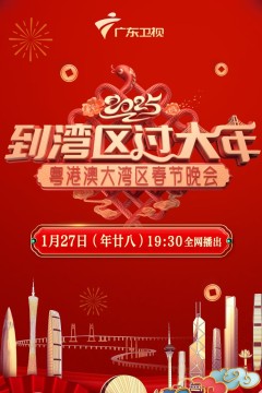 2025湾区春晚