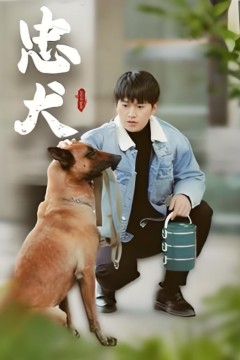 忠犬