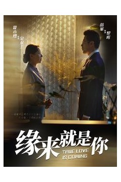 新缘来就是你