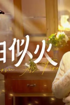 暖阳似火