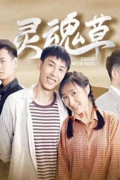 灵魂草