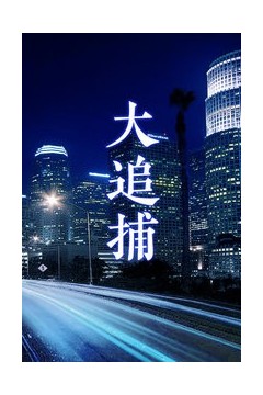 大追捕