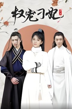 权宠刁妃
