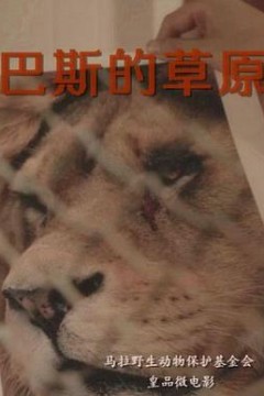 巴斯的草原