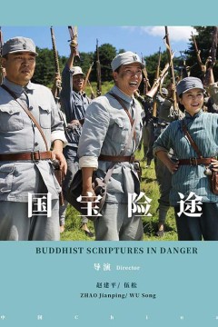 国宝险途