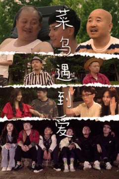 菜鸟遇到爱