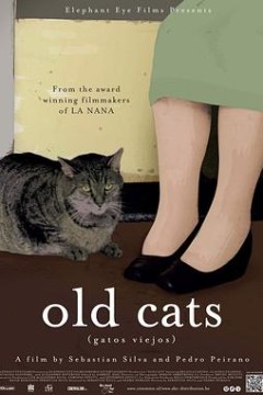 老猫