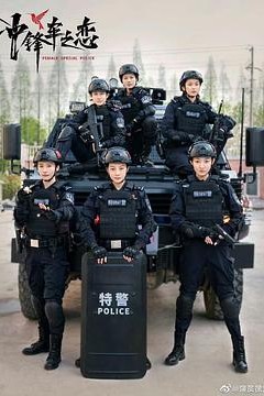 女巡特警之蜂鸟突击队