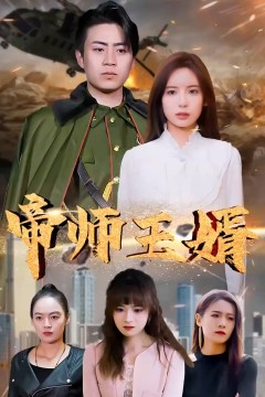 帝师王婿