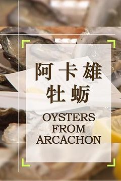 阿卡雄牡蛎