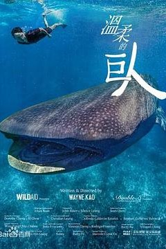 温柔的巨人