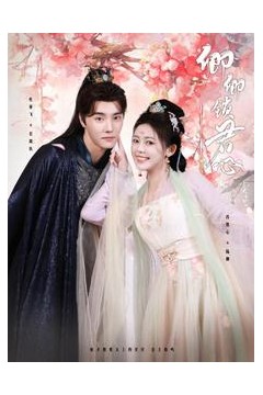 卿卿锁君心
