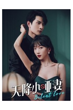 天降小哑妻