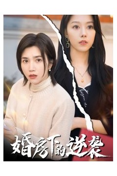 婚房下的逆袭