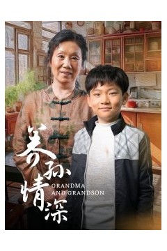 养孙情深