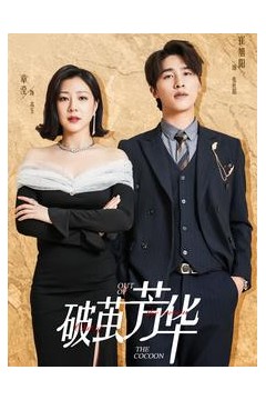破茧芳华