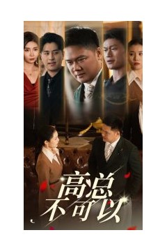 高总不可以