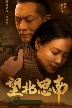 望北思南