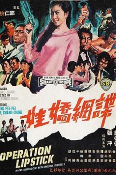 谍网娇娃