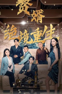 赘婿绝境重生
