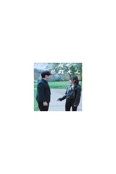 我的总裁大人