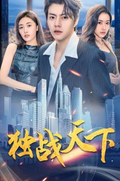 独战天下
