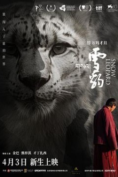 雪豹2023