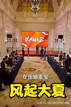 风起大夏