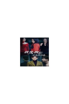 消失的她之无双归来