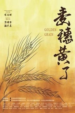 麦穗黄了