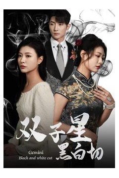 双子星黑白切