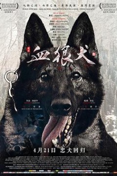 血狼犬
