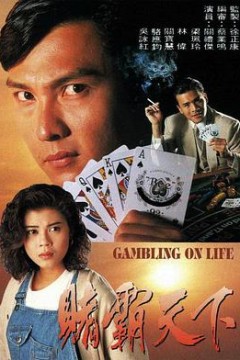 赌霸天下国语