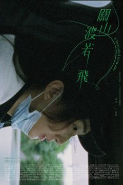 关山度若飞