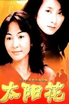 太阳花2002