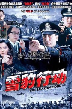 雪豹行动