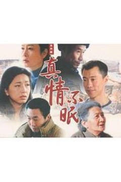 真情不眠