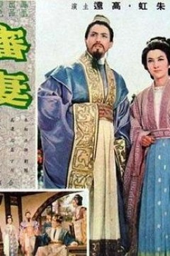 审妻