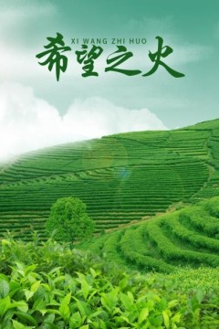 希望之火