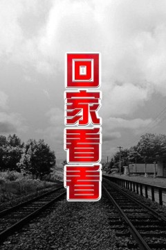 回家看看