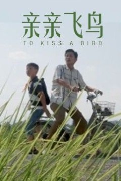 亲亲飞鸟